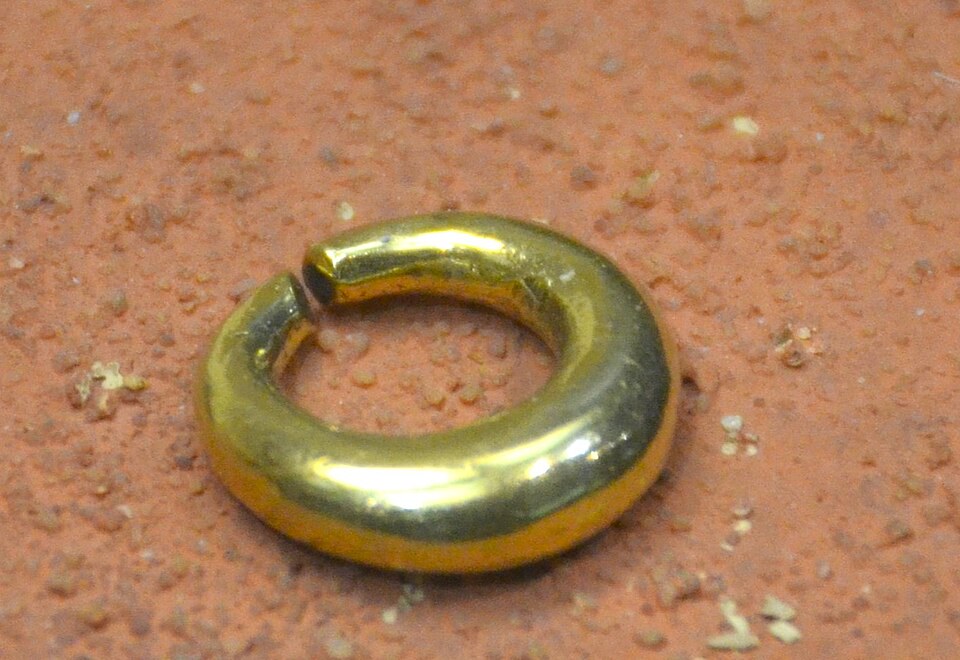 Petite Gold Hoop